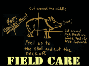 Field Care